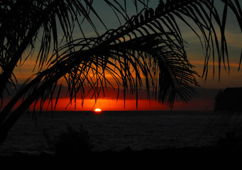 红楼梦好词好句好段摘抄大全