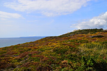打羽毛球上瘾是一种病？