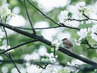 打羽毛球上瘾是一种病？