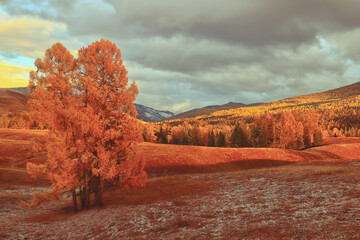 红楼梦好词好句的赏析