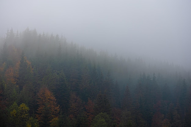 知耻后勇的名人励志故事