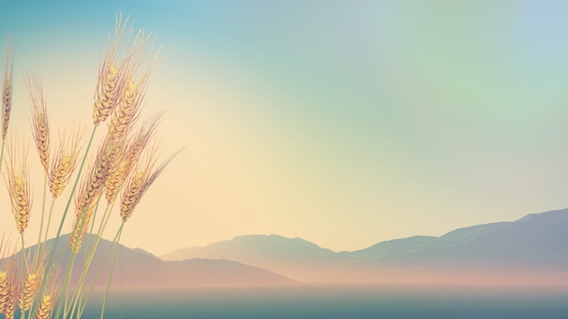 笔记本电脑显示屏怎么拆