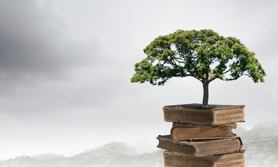 红楼梦好词好句的赏析