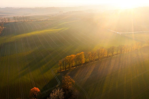 红楼梦好词好句的赏析