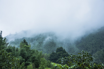 知耻后勇的名人励志故事